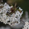 Spring at it's best