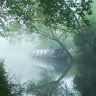 Mist the Boat Again!