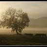 Dawn's Early Light (take 2)