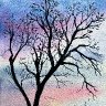 Winter Sunset with Tree Silhouette