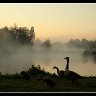 Dawn Patrol
