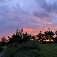 IMG_7207.jpg