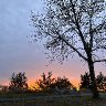 Sky Embers I