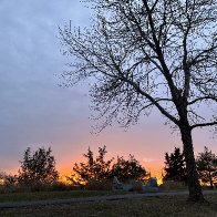 IMG_9363.jpg