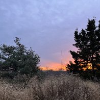 IMG_9368.jpg