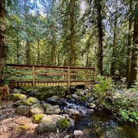 IMG_8535_framed (2).jpg