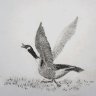 Action - Drawing Group Challenge
