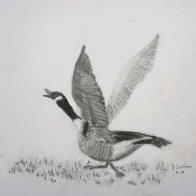 ActionGoose 8789.JPG
