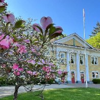 Fort Langley community hall with dogwood.jpg