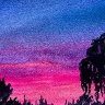 Hot Pink Sunset