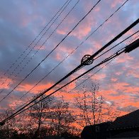 IMG_4514.jpg