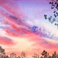 IMG_8047.jpg