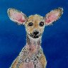 "I'm all ears..."