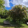 VideoCapture_20250504-183824