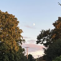 IMG_1838-scaled.jpg