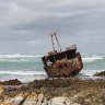 IMG_5517