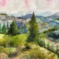 Landscape Pines 1.JPG