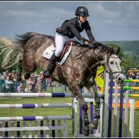 showjumping 9 halved..jpg