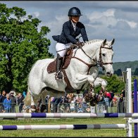 showjumping 2 halved..jpg