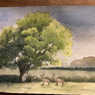 IMG_1099.jpeg