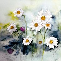 daisies.jpg