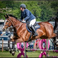 showjumping 1 halved..jpg