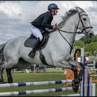 Showjumping 3 adjusted.-1.jpg