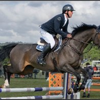 showjumping 4 halved.jpg