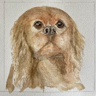 IMG_3901.jpeg