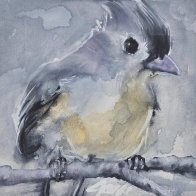 blue tit.jpg