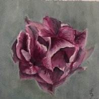 peony.jpeg