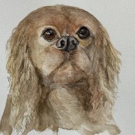 IMG_3904.jpeg