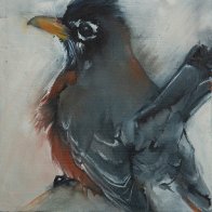 Red Robinsmall.jpg