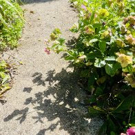 IMG_4392.jpeg