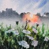 Queen Anne's Lace & Mist