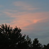 DSC_0077-scaled.jpeg