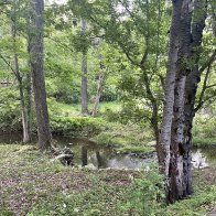 IMG_1707.jpeg