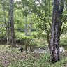 Creek kink photo