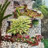 Geranium House