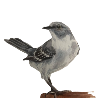 mockingbird mine rbg.png
