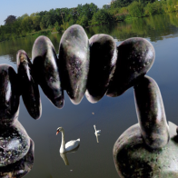 Swans under a stone bridge. new. 1.png 88.png