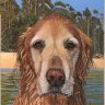 Taggert in pastels