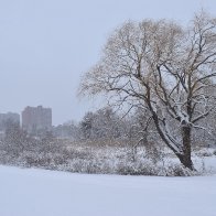 DSC_0062-scaled.jpeg