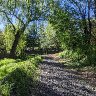 Danehy Park – Secret Path