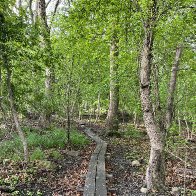IMG_5028 (4).jpg