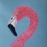 Pretty in pink