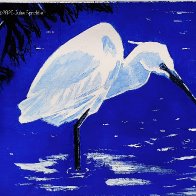 LittleEgret_May2025.jpg
