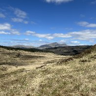 IMG_3271.jpeg