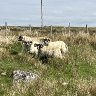 IMG_3281