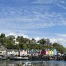 IMG_3317